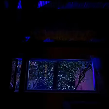 Relax * ティラナ